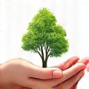 Icon of two hands cradling a small sapling growing out of water, symbolizing habitat restoration.